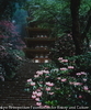 しゃくなげの室生寺塔
