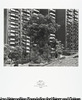 楠の木 基町住宅団地 1,200m