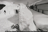 高田豪雪