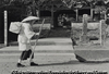 田宮虎彦『足摺岬』四国霊場第三十八番礼所・金剛福寺