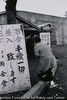 小菅刑務所前