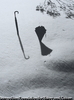 雪明け