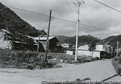 大島 洋