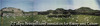 Monte Alban #1(Yucatan)