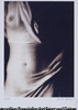 Torso