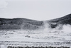 Looking Southwest from State Highway 248, 0.1 mile east of Buffalo Bill Drive.