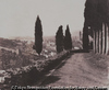 View overlooking Florence
