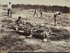 Incidents of the War, A Burial Party, Cold Harbor, VA