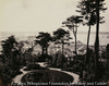 Yokohama and the Bluff