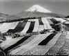 春の田園 三ッ谷新田