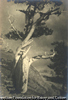 The Dying Cedar, 1908