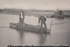 (Taking the Eel-Net)