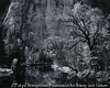 Merced River, Cliffs Autumn, Yosemite Valley, California