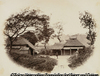 View near Kamakura where Mayar Baldwin and St. Bird were assassinated by the two Ronins