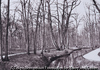 Bois de Boulogne
