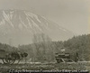 農場風景