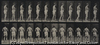 multiple cerebro-spinal sclerosis walking.