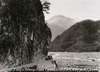 高原川と焼岳