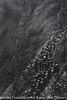 Gold Mine, Brazil, 1986