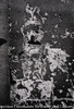 Samouraï