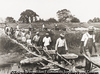Levee workers, Plaquemines Parish, Louisiana