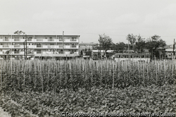 田村 栄