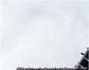 黒い鳩・平和記念日・広島