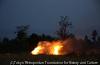 The Fire