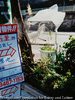 神山町