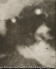 (Shadow)