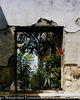 WINDOWS-East Timor, 2000