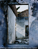 WINDOWS-East Timor, 2000
