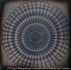 The Cross Section of a Spine of a Sea Urchin