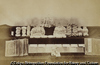 Cartons de Vers à soie; Cocons et soies.