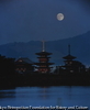 宵月薬師寺伽藍