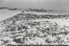 吹雪