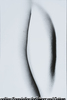 作品6