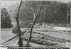 田舎道