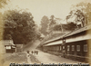Mita Tsunasaka in Edo
