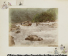 641 Hozugawa Rapid, Kioto.