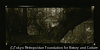 (Forest)