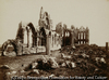 Whitbey Abbey