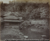 Pond in Grounds of British Legation Yeddo, Place of the Marder of the Two Sentinets July 1862