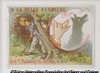 Image ombromagie