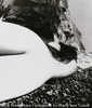 Nude, East Sussex Coast