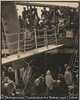 The Steerage