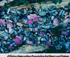 Rose Petals on Beach, Great Spruce Head Island, Maine, July 1, 1971