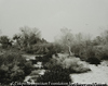 Santa Ana Wash, Next to Norton Air Force Base, San Bernardino County, California