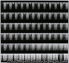 KAGE*88001