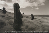 Moais on Rano Raraku Mtn Easter Isl